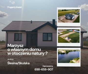 Domy deweloperskie &ndash; Okolice Ślesina, Skulska
