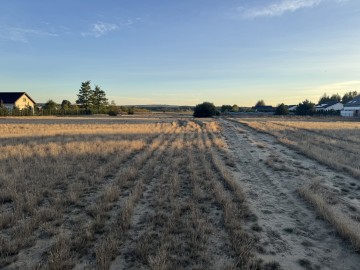 SPRZEDAM DZIAŁKI w SZCZEPIDLE