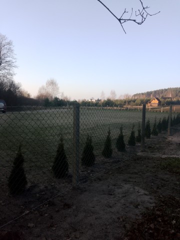 Działa nad jeziorem Czarny Br&oacute;d