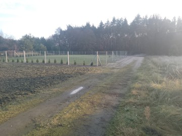 Działa nad jeziorem Czarny Br&oacute;d