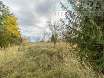 Działka budowalana - Brzezie, gm. Babiak