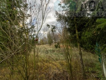 Działka budowalana - Brzezie, gm. Babiak