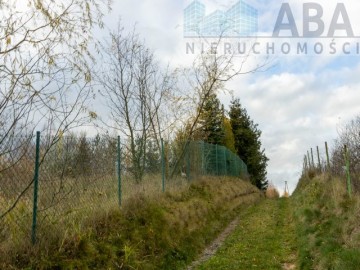 Działka budowalana - Brzezie, gm. Babiak