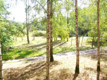 Działki Letniskowe - Jezioro Ślesińskie