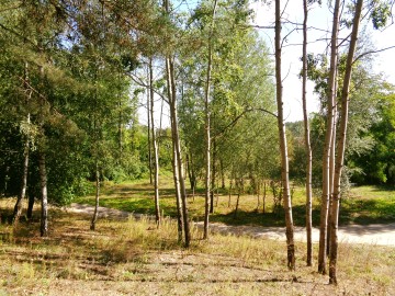 Działki Letniskowe - Jezioro Ślesińskie