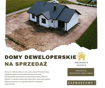 Domy deweloperskie &ndash; Okolice Ślesina, Skulska