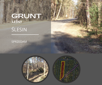 Ślesin &ndash; Działka Leśna