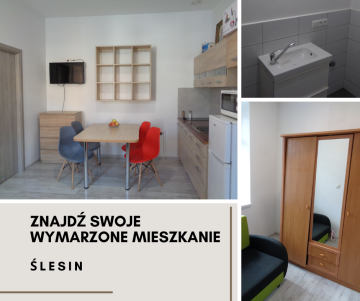 WYNAJMĘ MIESZKANIE W CENTRUM ŚLESINA