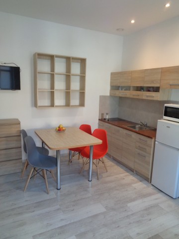 WYNAJMĘ MIESZKANIE W CENTRUM ŚLESINA