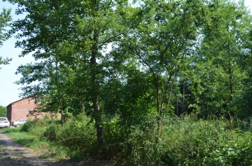 Sprzedam gospodarstwo 2,3672 ha z domem i budynkiem