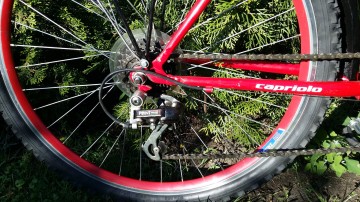 Rower Capriolo  26 cali