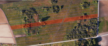 Działka Budowlana w sąsiedztwie jeziora Gopło