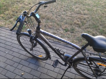 Rower Storm Marathon 2.0