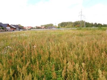 Kleczew – Działka inwestycyjna