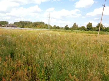 Kleczew – Działka inwestycyjna