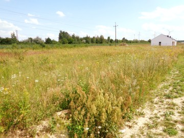 Kleczew – Działka inwestycyjna