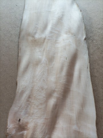 Fornir Orzech Włoski