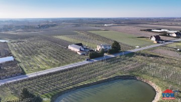 Gospodarstwo sadownicze na sprzedaż, Mąkolno gm. Sompolno