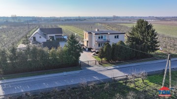 Gospodarstwo sadownicze na sprzedaż, Mąkolno gm. Sompolno