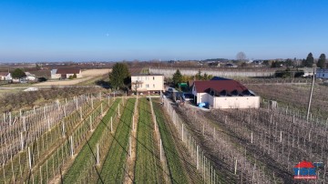 Gospodarstwo sadownicze na sprzedaż, Mąkolno gm. Sompolno