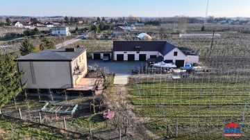 Gospodarstwo sadownicze na sprzedaż, Mąkolno gm. Sompolno