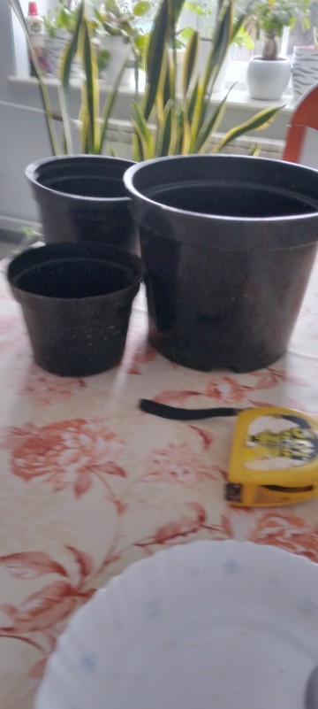 Sprzedam doniczki do sadzonek