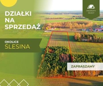 Okolice Ślesina &ndash; Działki Budowlane z Warunkami zabudowy