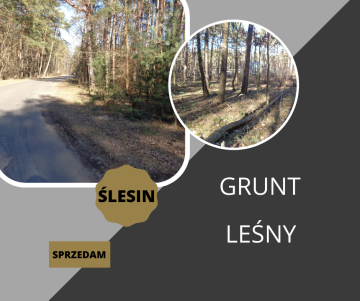 Ślesin &ndash; Działka Leśna