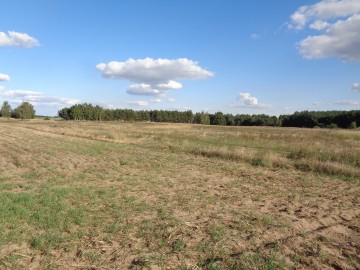 Skulsk – Działki z warunkami zabudowy