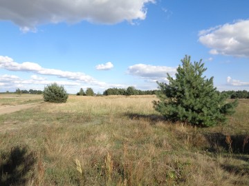 Skulsk – Działki z warunkami zabudowy