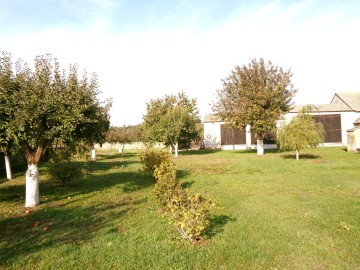 Okolice Ślesina &ndash; Dom z zabudowaniami gospodarczymi