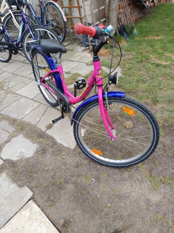 rowery koła 24 z biegami lub bez wyb&oacute;r