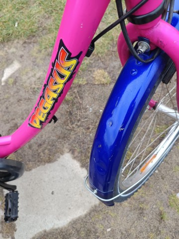 rowery koła 24 z biegami lub bez wyb&oacute;r