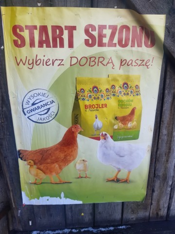 PASZE DLA KUR NIOSEK. DJ ZŁOTA MIESZANKA