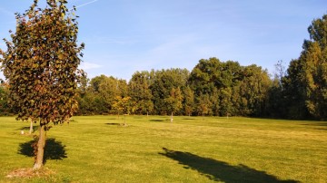 Działki chorzeń ulica Kameliowa obok biedronki 4x10