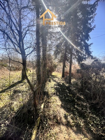 Nieruchomość z dostępem do jeziora.