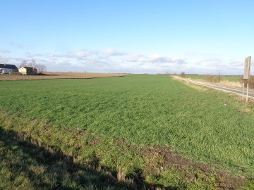 Grunt Rolny okolice Sompolna/Izbicy Kujawskiej