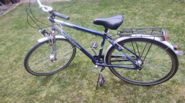 Rower Pegasus Milano .