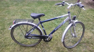 Rower Pegasus Milano .