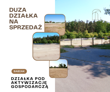 Babiak &ndash; Działki pod aktywizację gospodarczą
