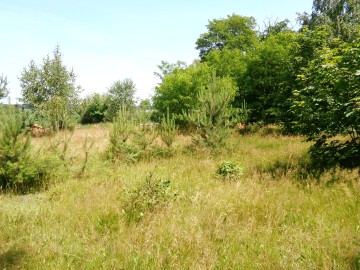 Gołuch&oacute;w &ndash; Dawny hotel z duszą i historią