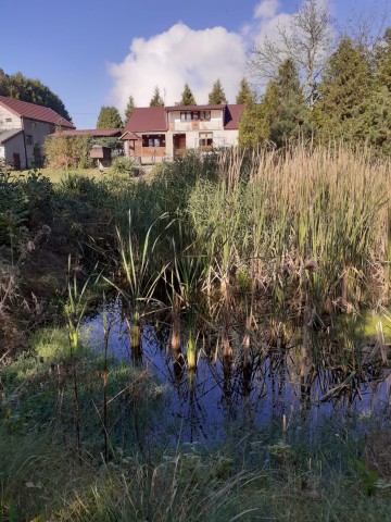 Sprzedam nieruchomość z potencjałem