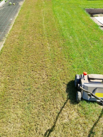 Usługa wertykulacji trawnika. Atrakcyjna cena