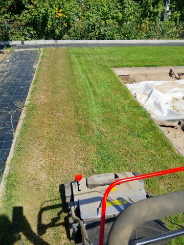 Usługa wertykulacji trawnika. Atrakcyjna cena