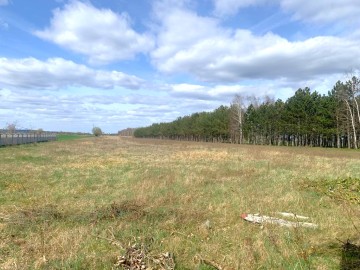 `działki na sprzedaż KRWONY gm Brudzew