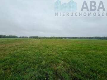 Młyny Piekarskie gm.Dobra-działka rolna na sprzedaż 6,2374ha