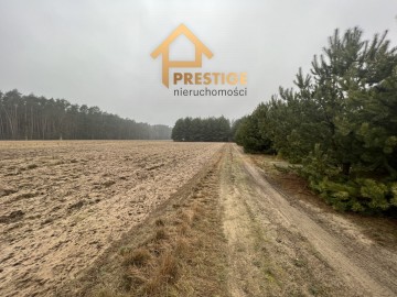 Działka rekreacyjna uzbrojona nad Jeziorem Powidzkim.