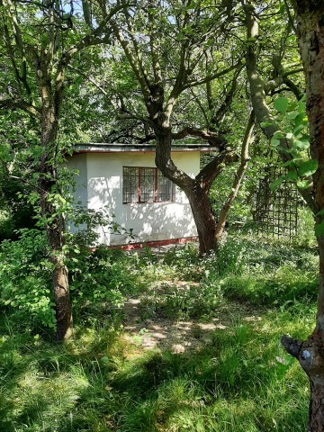 Działka 171 w ramach ROD Energetyk I