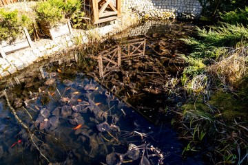 Na sprzedaż dom otoczony lasem Państwowym - Zaguźnica