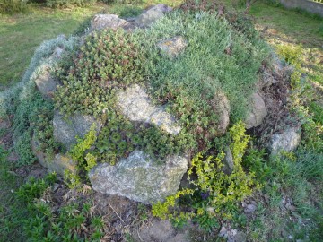 Sprzedam kamienie łupane